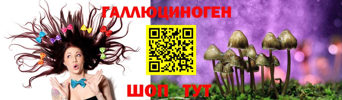 Кызыл  Псилоцибиновые грибы прущие грибы  Вход с VPN 